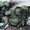 Hulk-vs-Wolverine-from-Marvel-comics